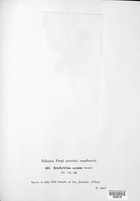Synchytrium aureum image